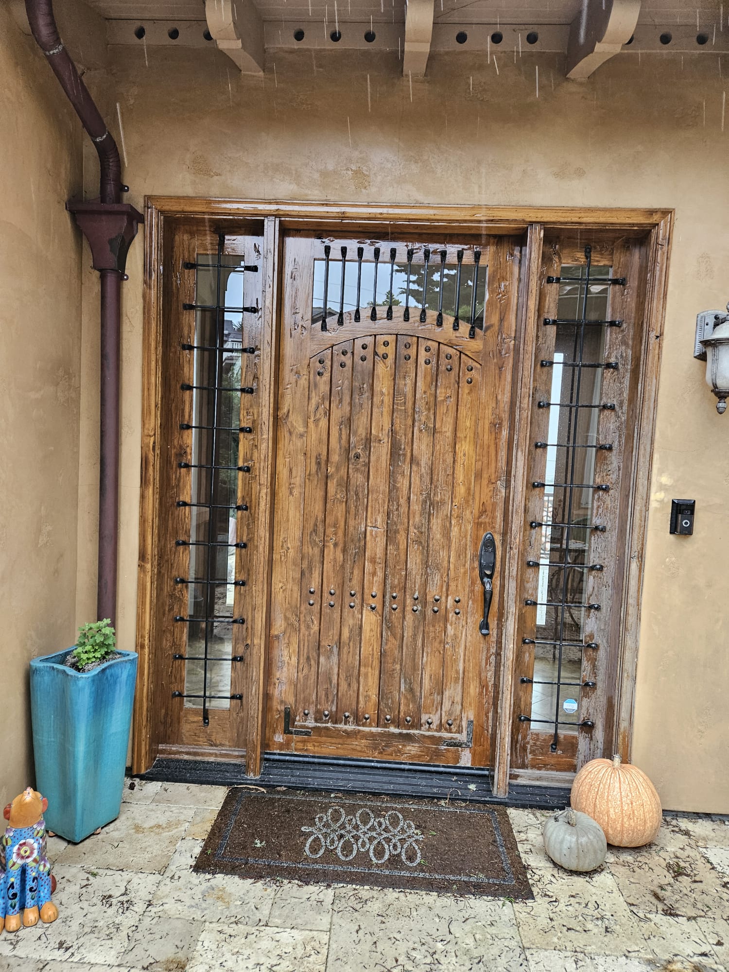 WhatsApp Image 2025-04-09 at 6.15.07 PM (3)